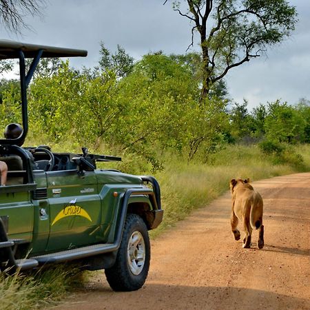 שמורת מאניילטי Kruger Safari Lodge מראה חיצוני תמונה