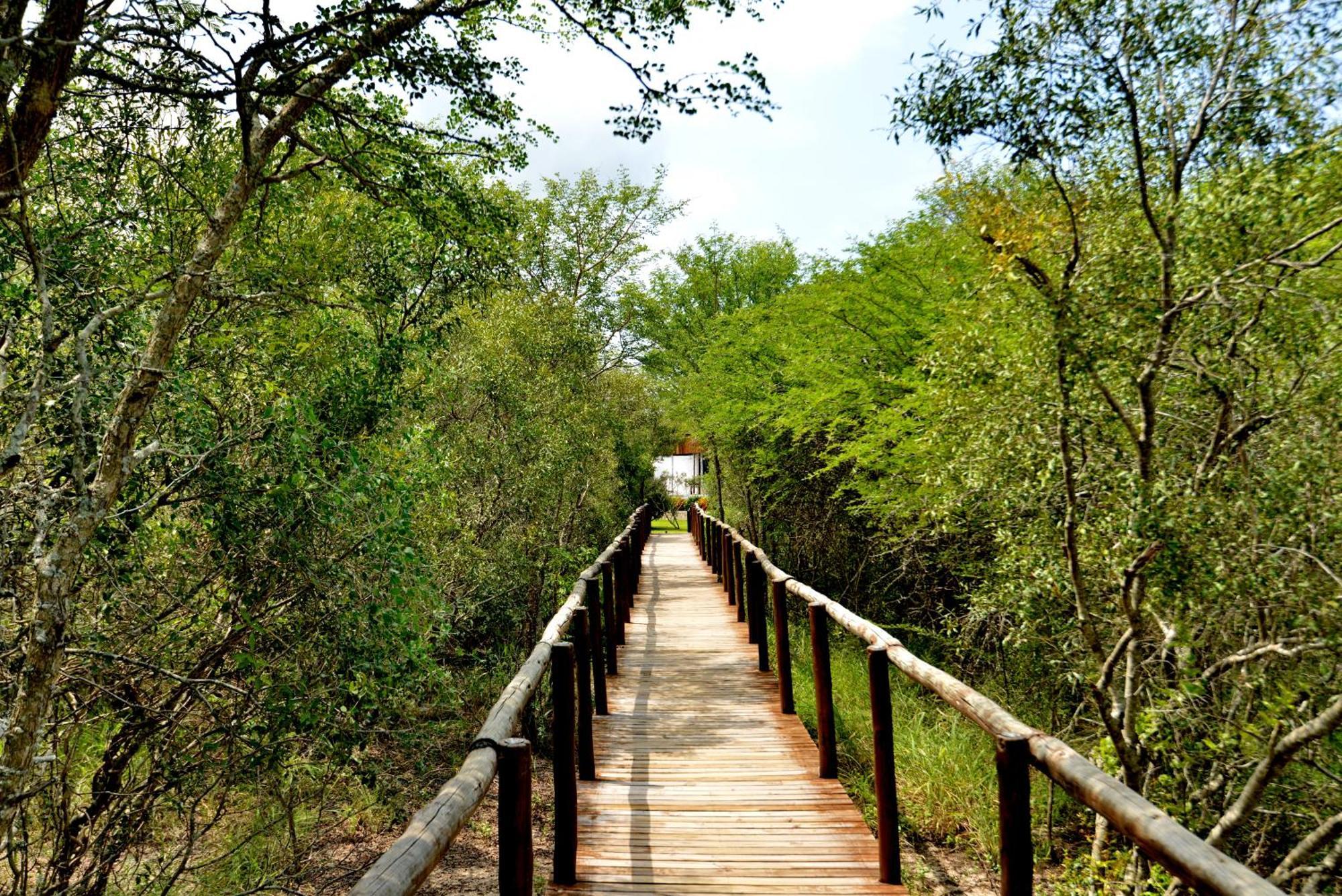 שמורת מאניילטי Kruger Safari Lodge מראה חיצוני תמונה